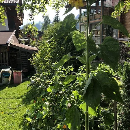 Couette-café Gaestehaus Lackner 3*