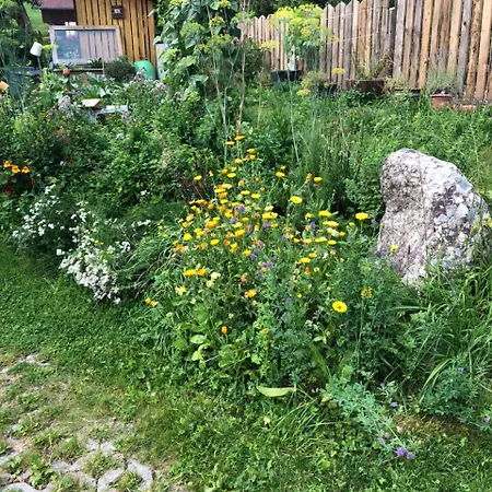 Frühstückspension Lackner 3*