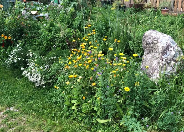 Bed & Breakfast Gaestehaus Lackner 3*