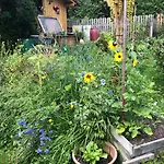 Gaestehaus Lackner Bed & Breakfast