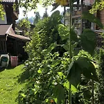 Bed & Breakfast Gaestehaus Lackner 3*