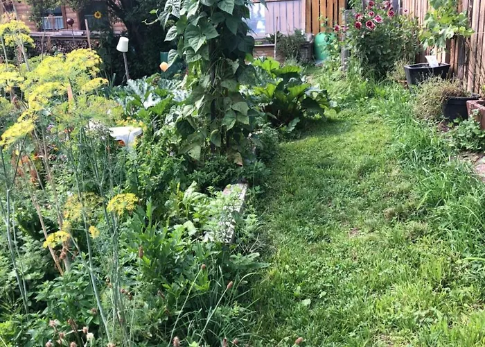 Bed and Breakfast Gaestehaus Lackner Oberau