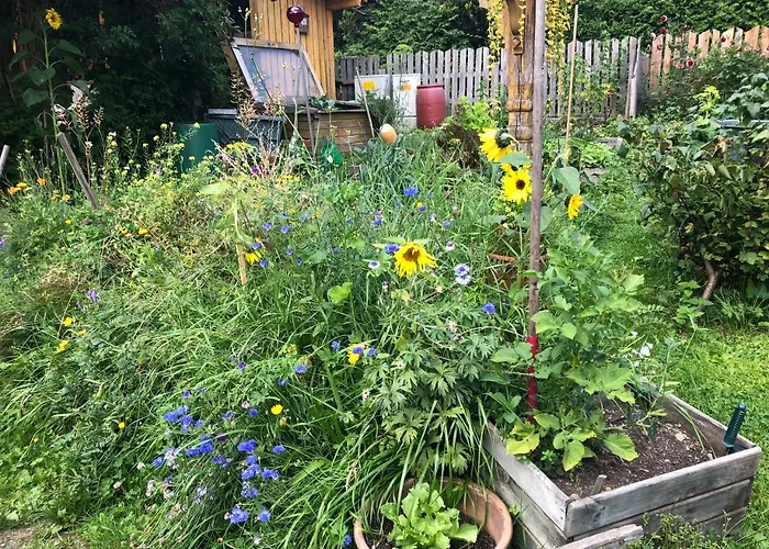 Gaestehaus Lackner Bed and Breakfast