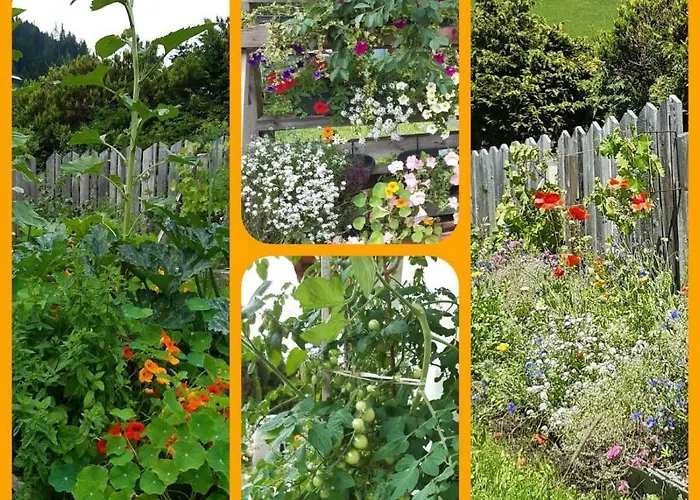 Bed and Breakfast Gaestehaus Lackner