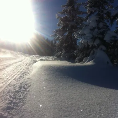 Gaestehaus Lackner 3*