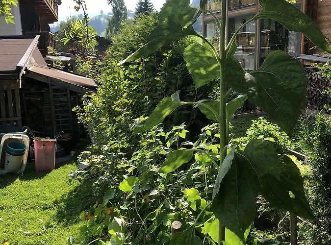 Frühstückspension Lackner 3*